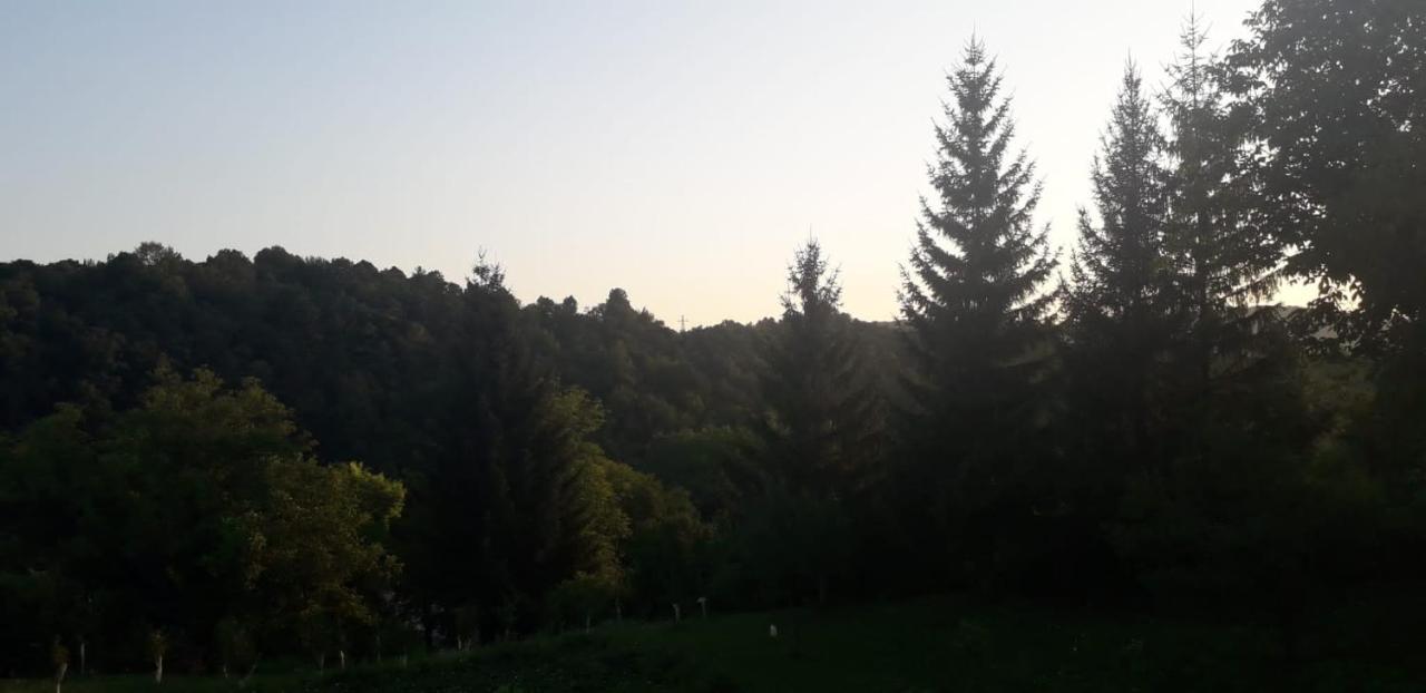 Apartmán House Narta - Rastoke Slunj Exteriér fotografie
